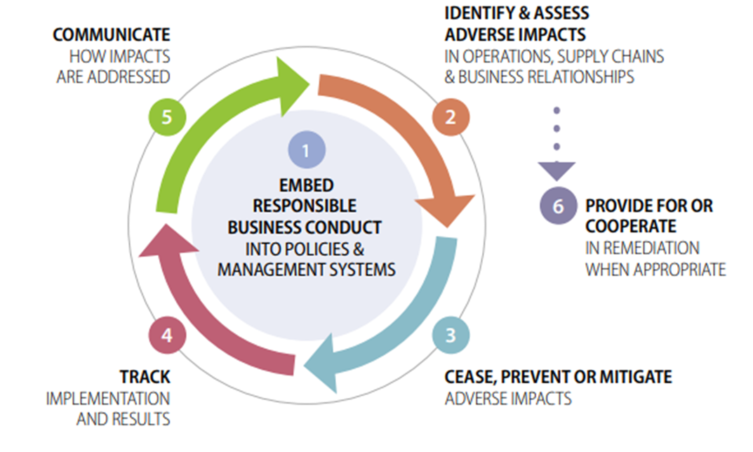 Due diligence under the OECD Guidelines